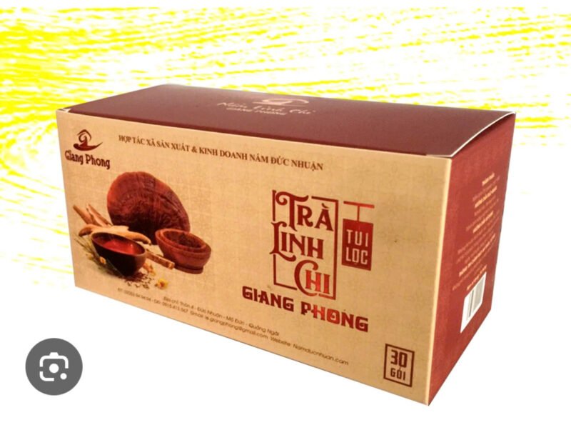 Bảo bì nấm - đông trùng