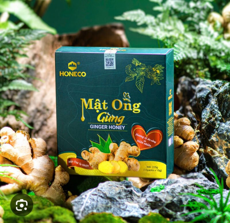 Bảo bì nấm - đông trùng