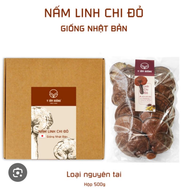 Bảo bì nấm - đông trùng