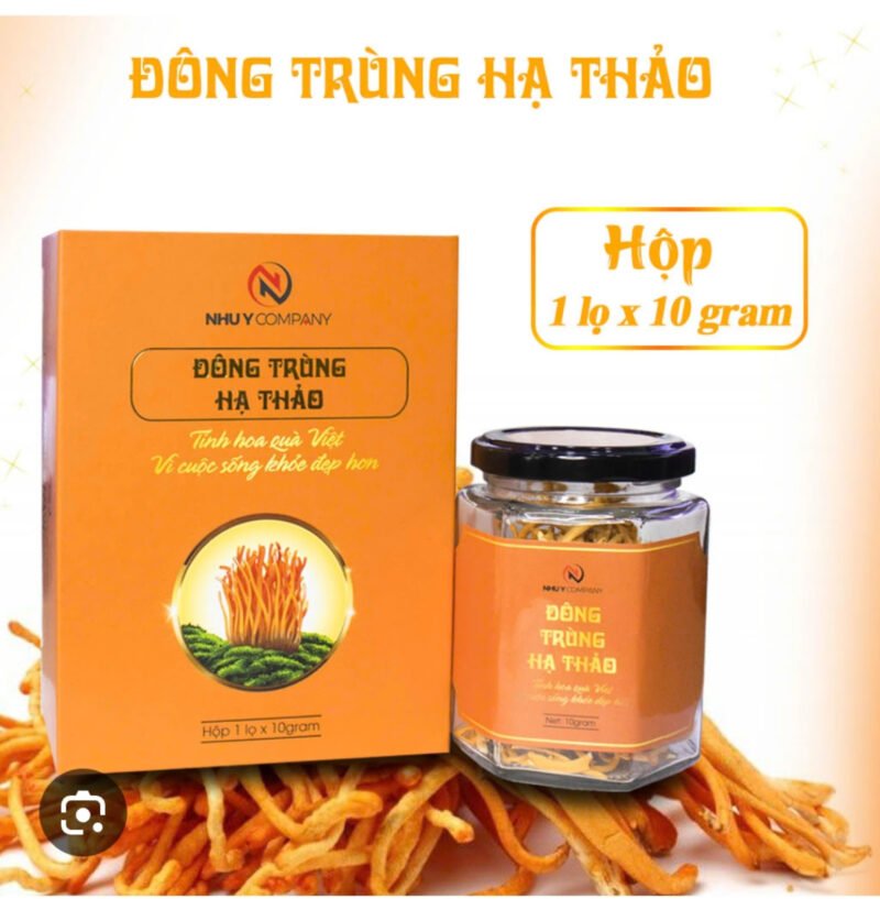 Bảo bì nấm - đông trùng