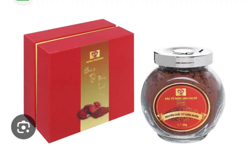Bảo bì nấm - đông trùng